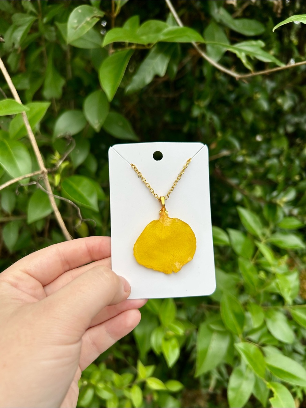 Gold Chain Necklace with Yellow Real Rose Petal Pendant